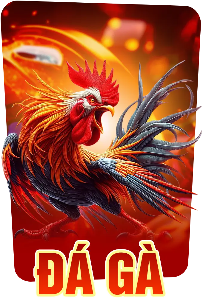 Đá Gà 13Win