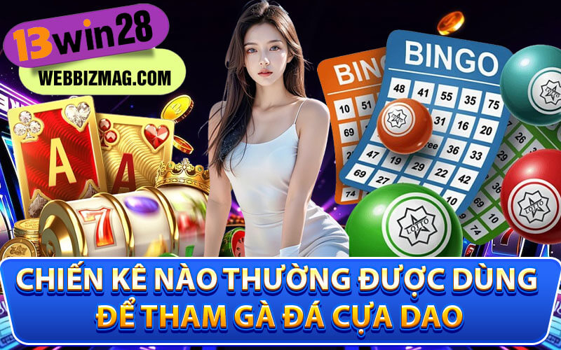 Đá gà cựa dao