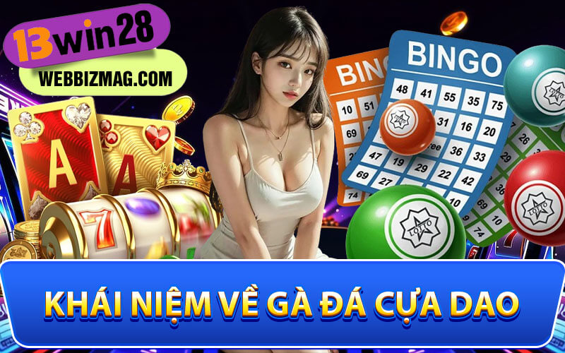 Đá gà cựa dao
