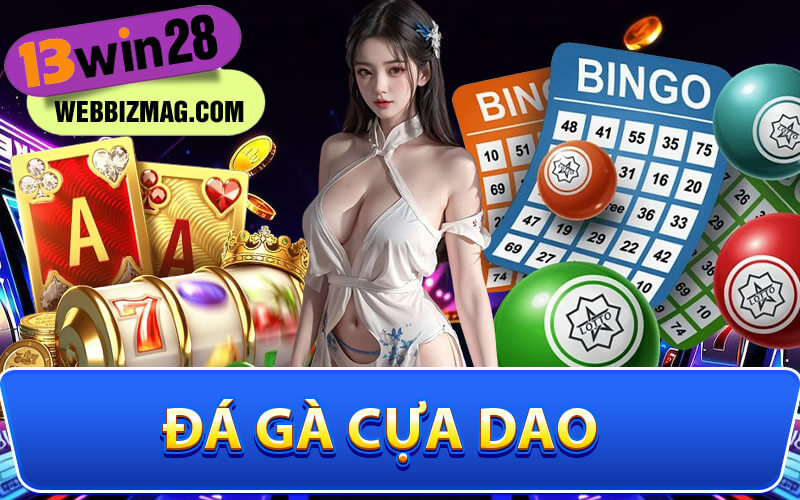 Đá gà cựa dao